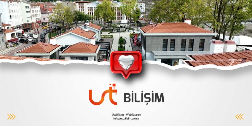 Bozkurt Web Tasarım