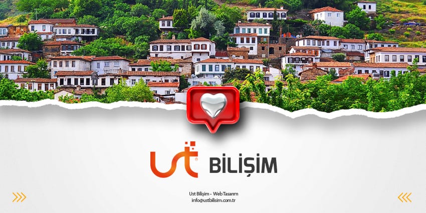 Selçuk Web Tasarım