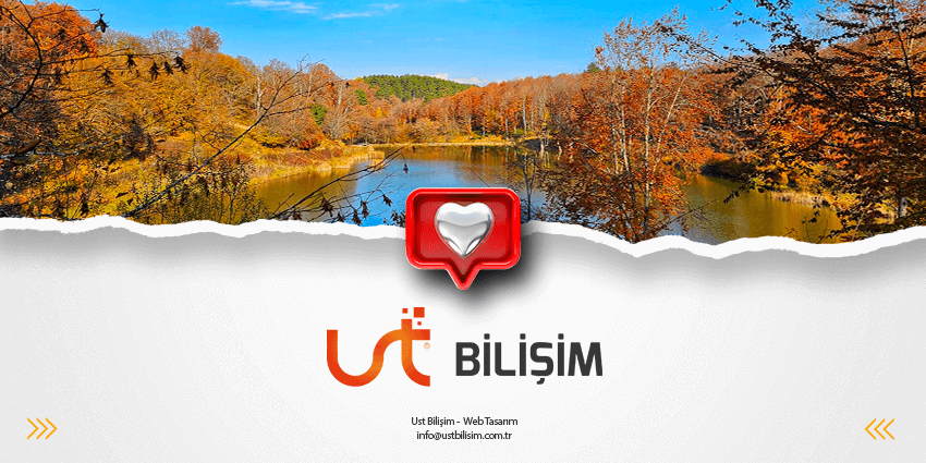 Yenice Web Tasarım